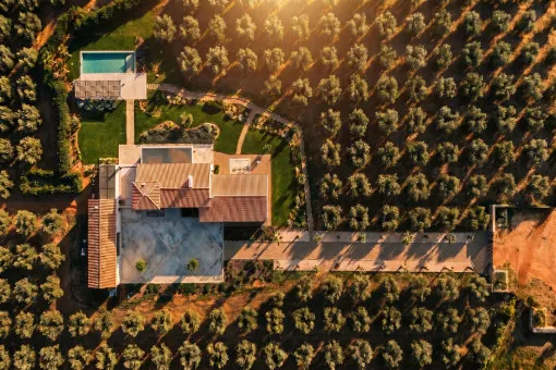 Sa Rapita, rural luxury finca with pool and olive grove – turnkey new build near Es Trenc and Sa Ràpita — photo 4