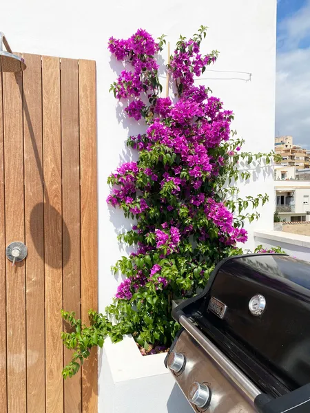 Boutique style townhouse near Santa Catalina — photo 7