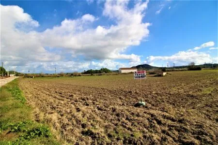 Rural Land - Sineu, Plot Surface 28600 m² — photo 4