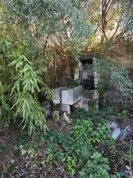 Spectacular village house to renovate in Muro — photo 2