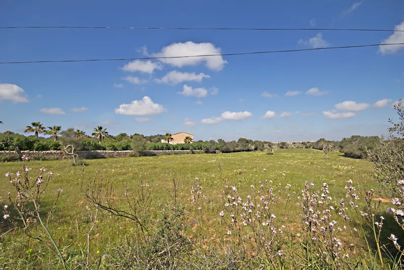 Es Llombards plot with building project G02962 — photo 1