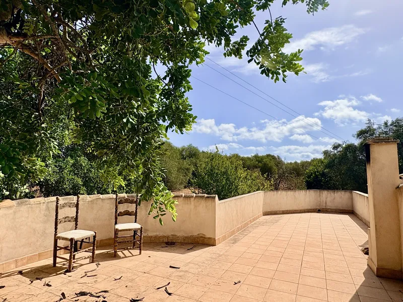 Rustic finca with pool and fountain near Cala Santanyi — photo 10