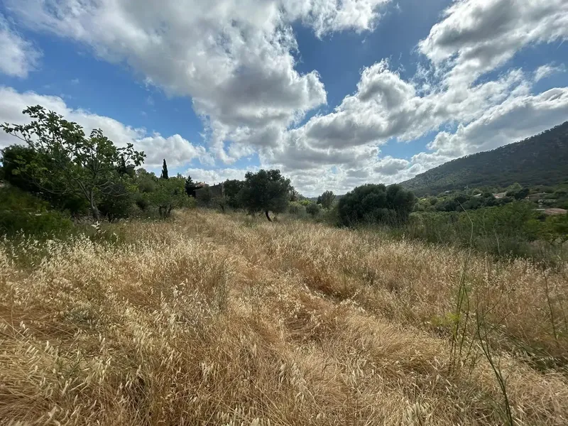 Discover this authentic stone cottage in Alaró, in a privileged enclave where tranquility, nature and the impressive — photo 11