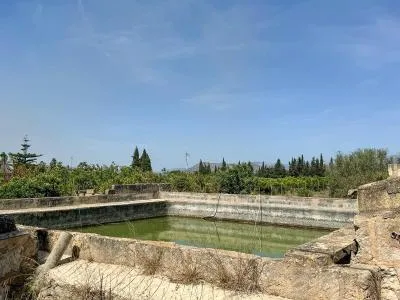 Rustic property in Llubí with 257 m² built and 7,527 m² plot, 1 room — photo 7
