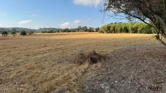 Rustic Land - Maria de la Salut — photo 10