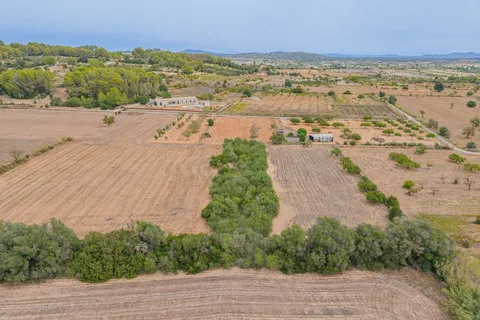 Land in Porreres, Mallorca — photo 6