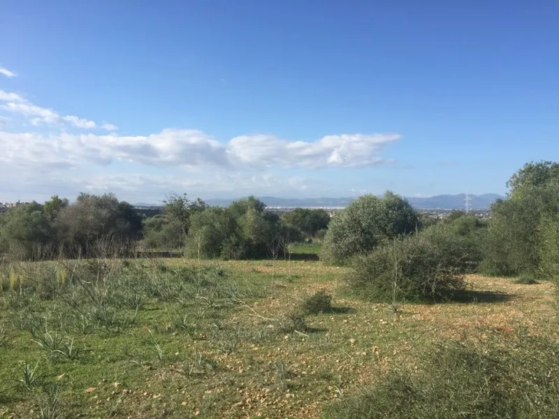 Country building plot of 77,648 m² in Son Gual area with building license, Palma — photo 3