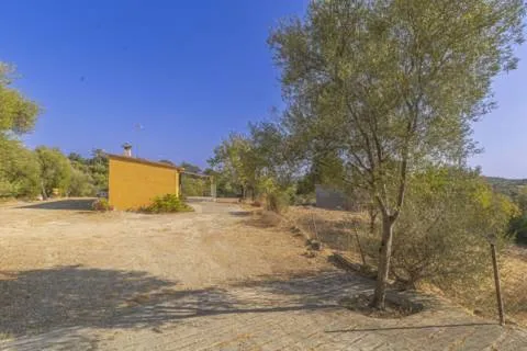 Detached house — photo 7