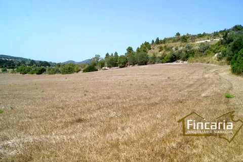 Land in Manacor, Mallorca — photo 11
