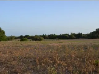 Fantastic building plot with panoramic views to Cabrera! Terreno — photo 2