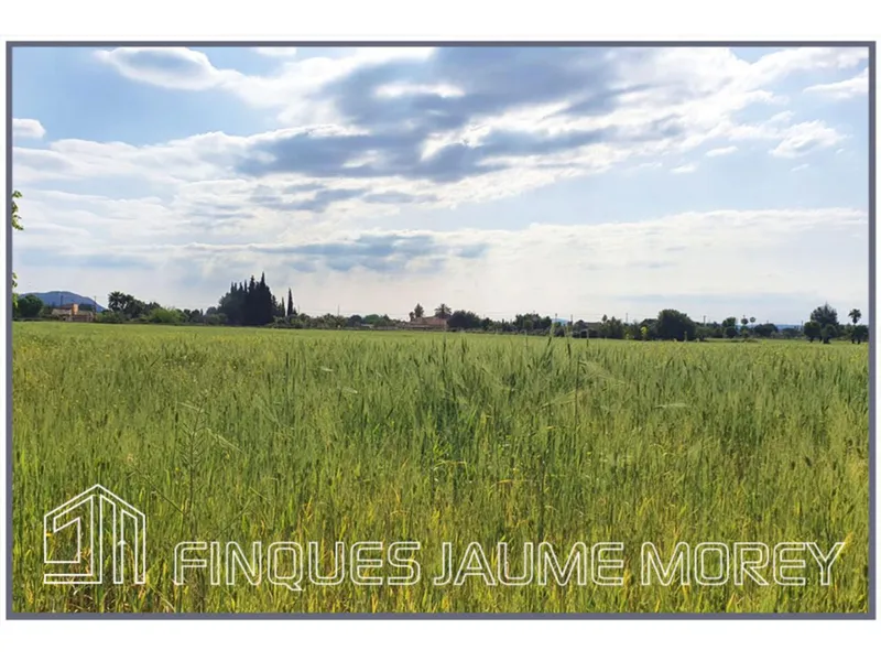 Land — photo 4