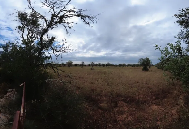 Plot between Santanyi and Cas Concos located 1km from Santanyi — photo 3