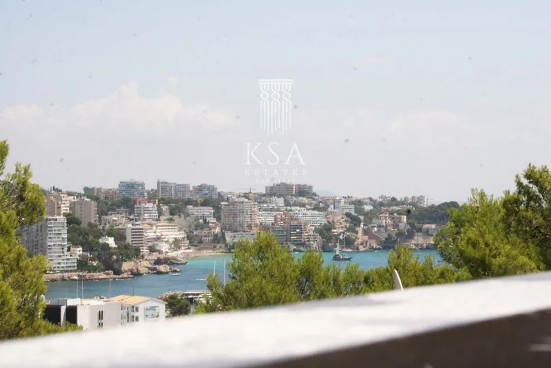 Penthouse — photo 7