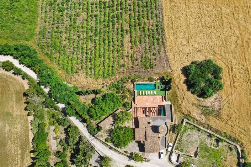 38,000m² finca with 7 rooms, pool & ETV license for sale — photo 3