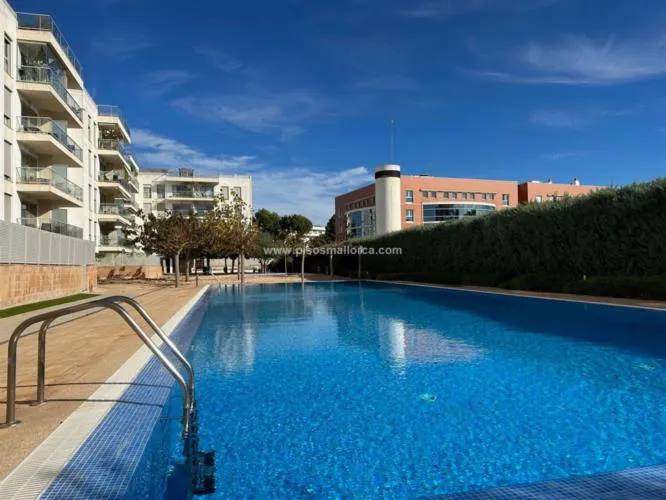 Ground floor. Palma de Mallorca, Son Dameto area — photo 2