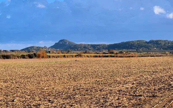 Buildable rustic plot for sale in Montuïri — photo 1