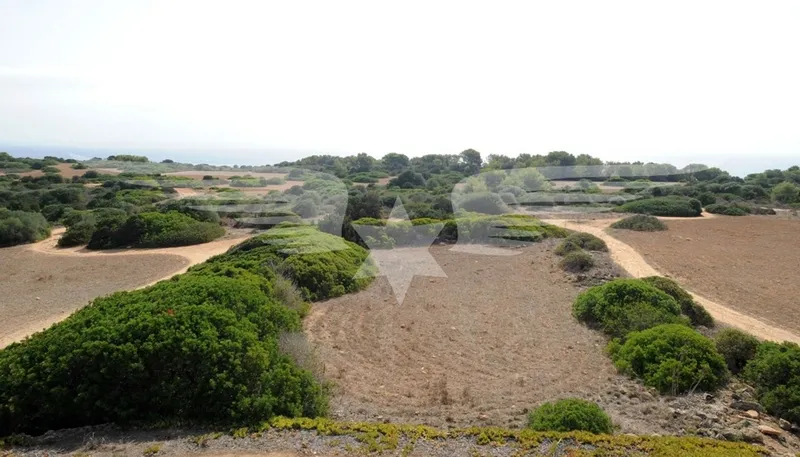 Cala Millor I new construction finca with distant sea views — photo 11