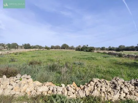 Rustic property - Santa Margalida, Built Surface 50m², Plot Surface 15767m², 1 Room, 1 Bathrooms — photo 9