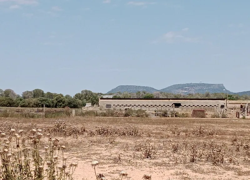Two Adjacent Plots in Land Campos: Permit-Ready for Main & Guest Homes — photo 3