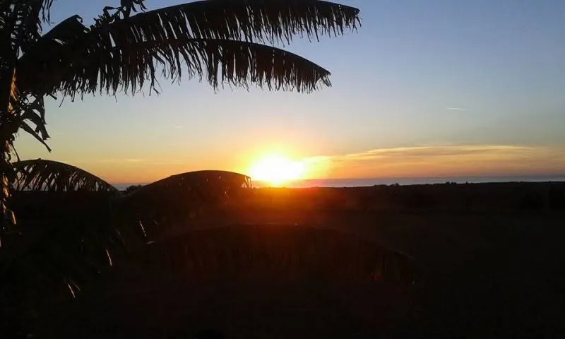 Prime location near Porto Cristo — beautiful finca for sale — photo 3