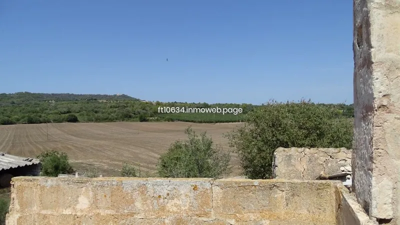 Rural or Farmhouse in Petra, Province of Balearic Islands — photo 8
