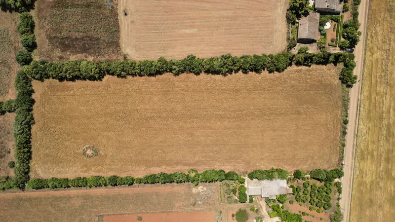 Unique plot of over 17,000 m² – Build your project in Mallorca — photo 12