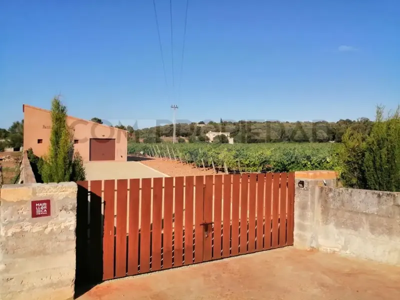 Charming winery with its own production located on a 13,599 m² rustic estate in Costitx, in the very heart of Mallorca. Surrounded by a p — photo 1