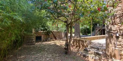 Real estate picture 0 Ref. No. 81730 — photo 7