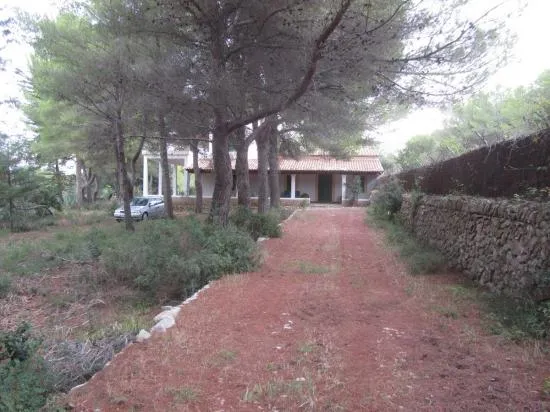 Finca in Bonaire, Alcudia — photo 10