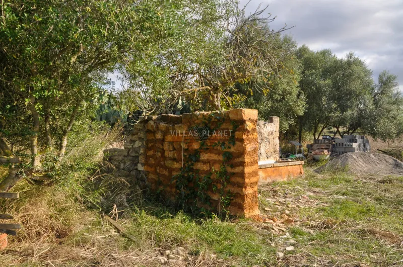 Rustic building plot with... — photo 12
