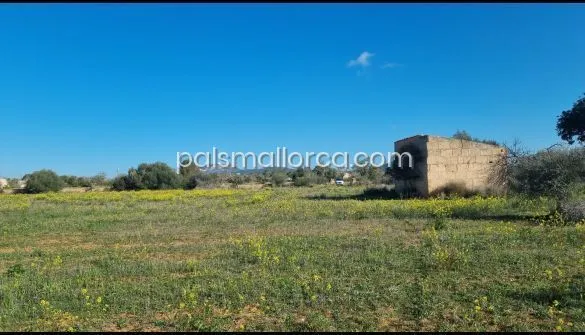 Country House in Llucmajor — photo 2