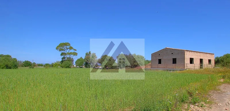 Rural land for sale in Felanitx — photo 1