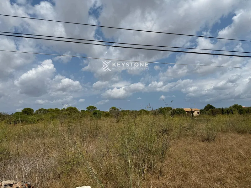 Plot — photo 2
