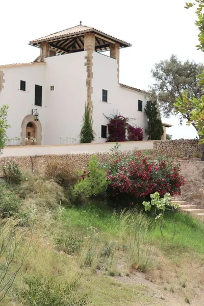 Villa in Gènova, Palma, Mallorca — photo 5