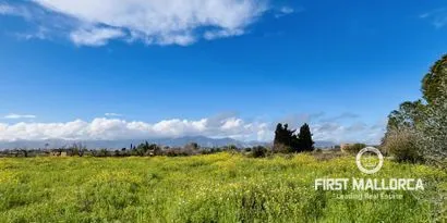 Exclusive new build finca in a natural setting near Inca — photo 4