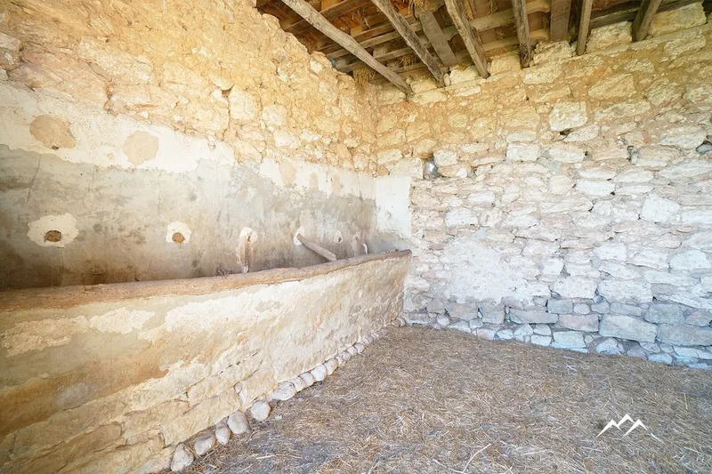 Rustic Estate of 44,771 m2 in Binissalem — photo 11