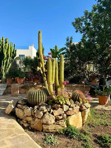 Finca/Country House for sale in Cala Llombards, Santanyí, Mallorca — photo 6
