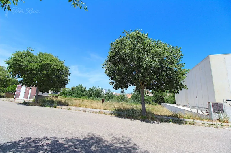 S12 - Industrial Plot in Arta — photo 1