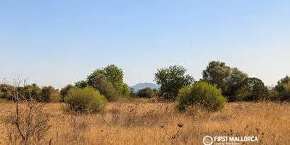 Real estate picture 0 Ref. No. 84240 — photo 8