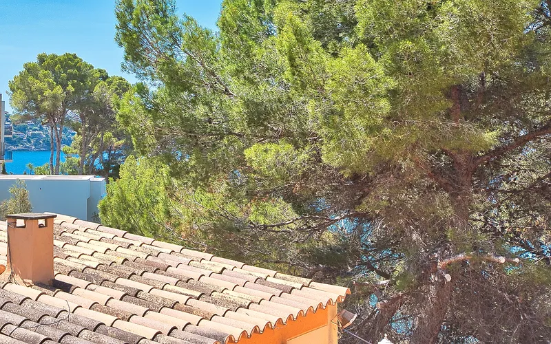 Plot in Costa de la Calma — photo 12