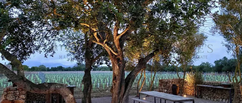 Fantastic finca in Porreres with vineyard and olive grove — photo 3