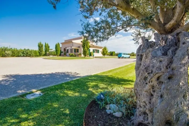 ¡Bienvenido a la villa de sus sueños en Mallorca! Esta moderna finca le ofrece a usted y a su familia o pareja todo lo necesario para unas v — photo 9