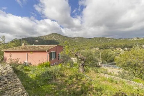 Rustic estate — photo 7