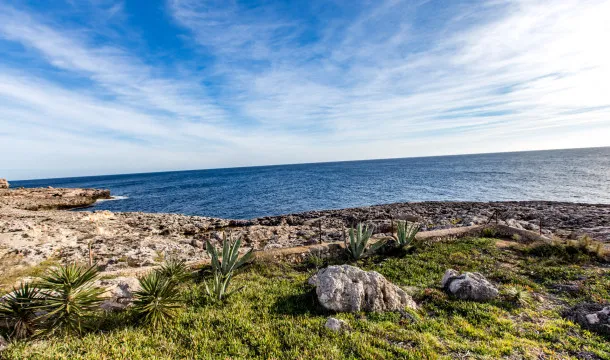 Fantastic seafront villa in a privileged location in Cala d'Or — photo 12