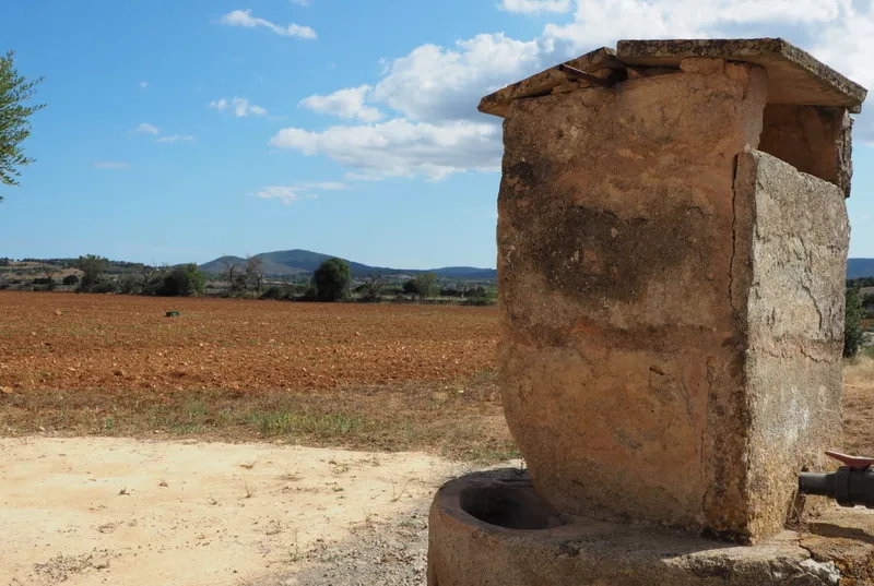 Rustic finca to renovate in San Lorenzo — photo 11