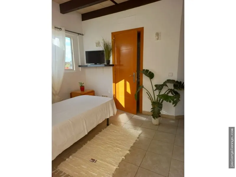 Studio rental in Cala Millor — photo 4