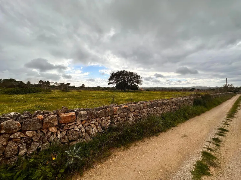 Rustic plot of 18,000 m2 in Sineu with building permit — photo 9
