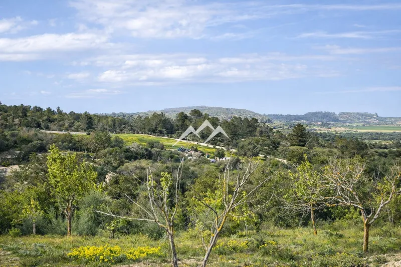 Charming rustic finca in Montuiri — photo 11