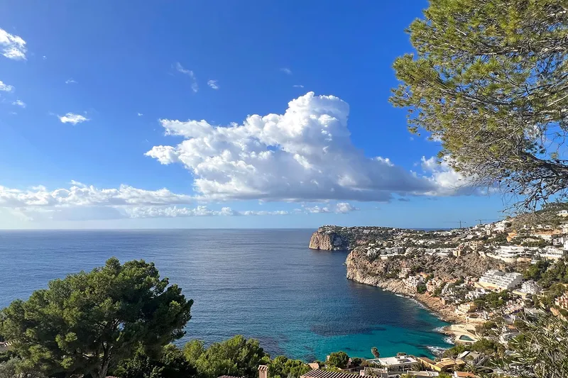 Cala Llamp - Luxurious villa project with spectacular sea views near the harbor — photo 2
