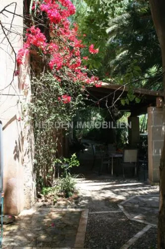 Charming Finca with Holiday Rental License (ETV) near Sa Pobla – Mallorca — photo 3
